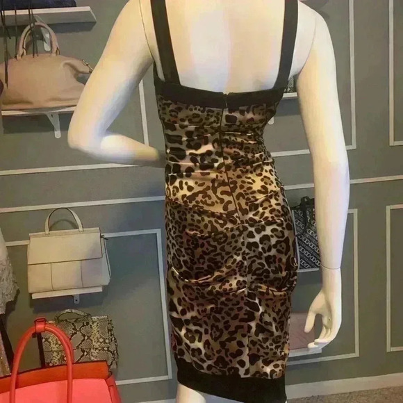 Cache Animal Print Leopard Formal Dresses for Women’s Size 4. D11 - Picture 5 of 15